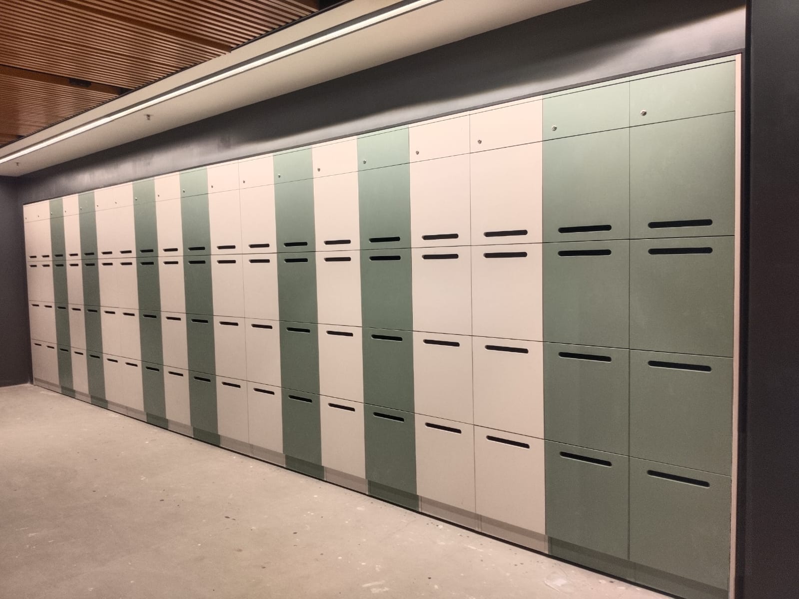 WhatsApp Image 2026 01 25 At 2.17.18 PM 1 7