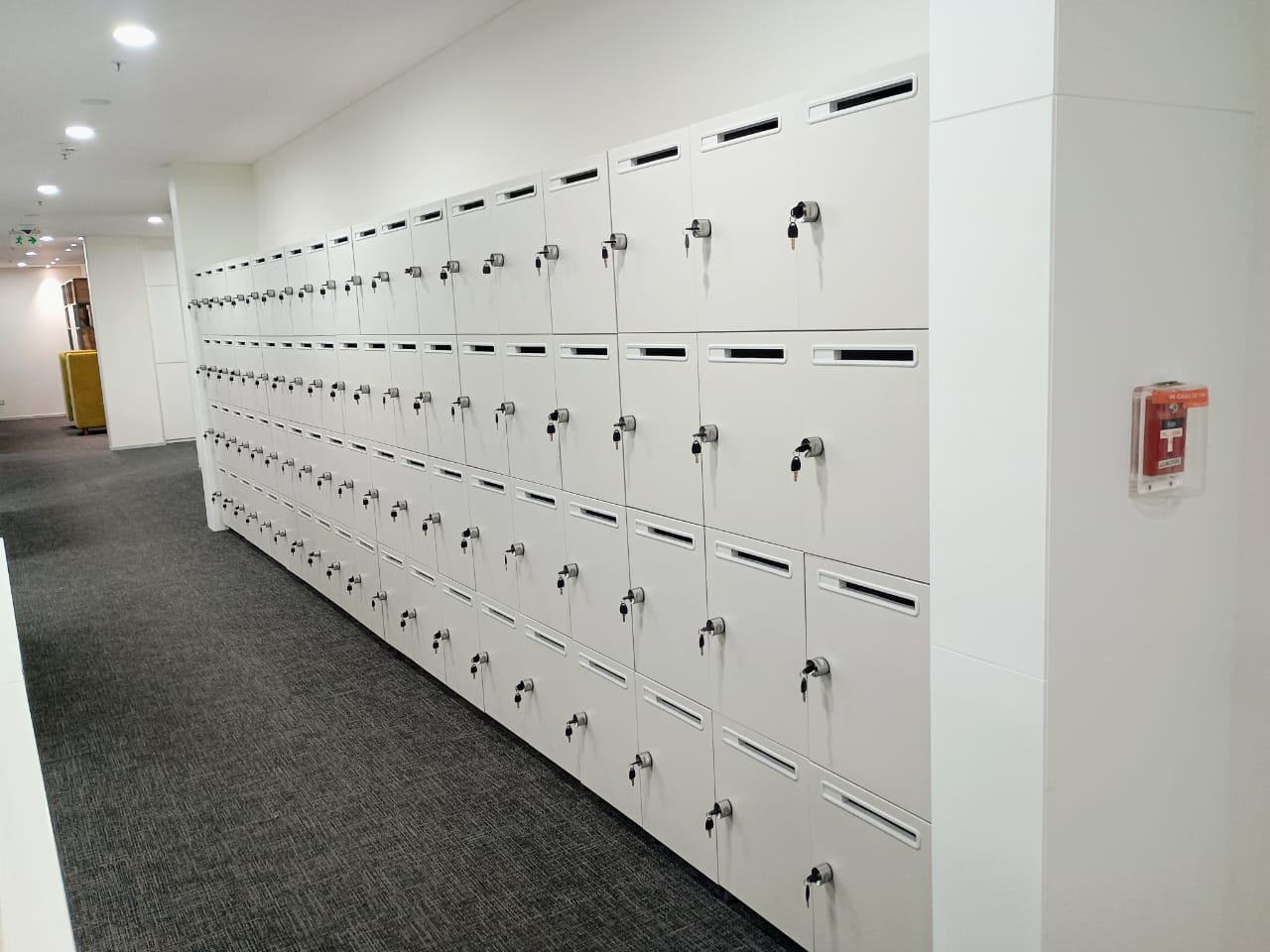 WhatsApp Image 2026 01 25 At 2.30.35 PM 7